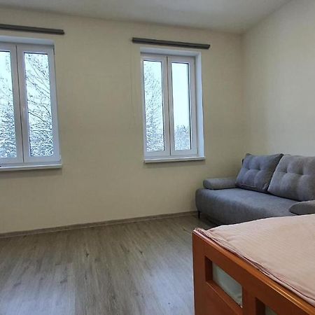 Apartment 35M2 Κάρλοβι Βάρι Εξωτερικό φωτογραφία